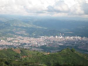 Pereira
