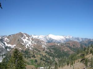 Shasta-Trinity National Forest