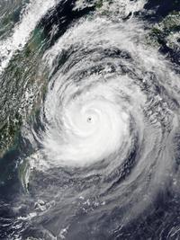 Typhoon Maysak