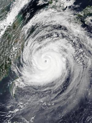Typhoon Maysak