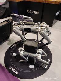 Unitree Robotics