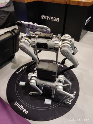 Unitree Robotics