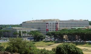 Food and Agriculture Organization of the United Nations