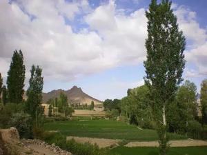 Paktia Province