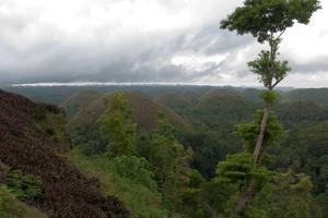 Bohol