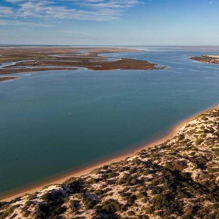 H5 Bird Flu Detected in South Australia