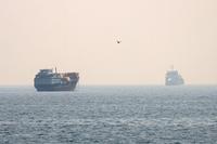 Indian Seafarers Killed in Hormuz Attacks