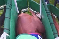 Christmas Day Wins Epsom Derby