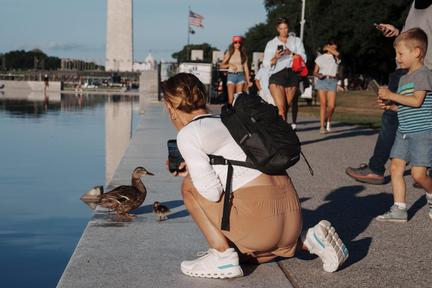 Trump Blames Vandals for Reflecting Pool Algae Crisis