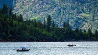 Kidnapped Forest Service Workers Freed