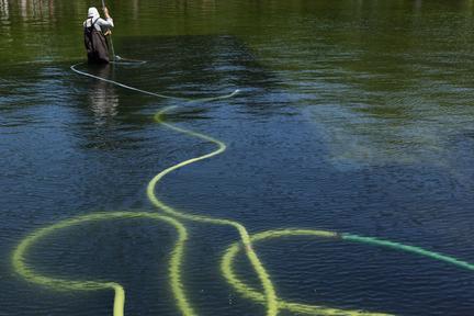 Trump Blames Vandals for Pool Algae