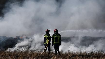 Record Wildfires Ravage France