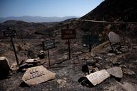 Deadly Wildfires Devastate Southern Spain