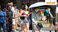Europe Heatwave Kills Thousands, Wildfires Rage