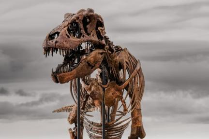 T. Rex 'Gus' Fetches Record $50.1 Million