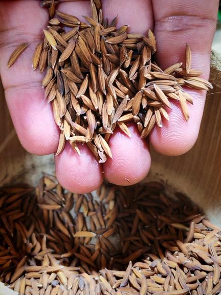 South Cotabato Town Named Philippines’ First FAO Agrifood Village