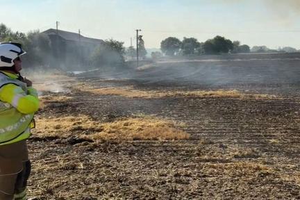 UK Heatwave Sparks Wildfires and Hosepipe Bans