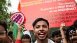 Cockroach Protests Rock India