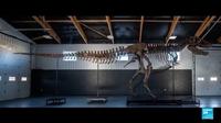 T-Rex Skeleton Sells for Record $50.1M