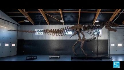 T-Rex Skeleton Sells for Record $50.1M