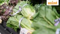 Taco Bell Visits Plunge Amid Cyclospora Outbreak