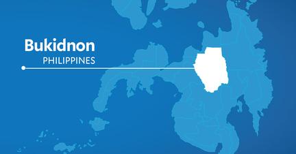 Police bust illegal cannabis farms in Bukidnon