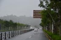 Typhoon Maysak death toll in China rises to 159