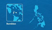 Illegally Cut Mangkono Tree Log Recovered in Romblon