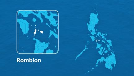 Illegally Cut Mangkono Tree Log Recovered in Romblon