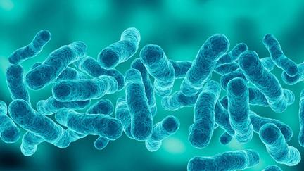 First Death in NYC Legionnaires' Outbreak