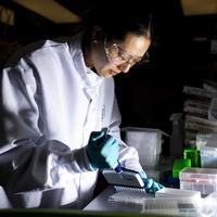 Moderna-Merck cancer vaccine trial succeeds