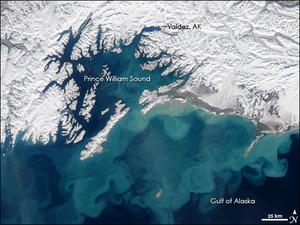Gulf of Alaska