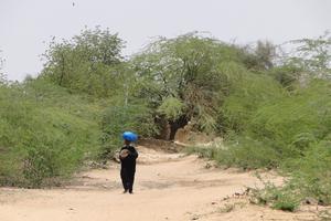 Sahel