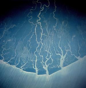 Niger Delta