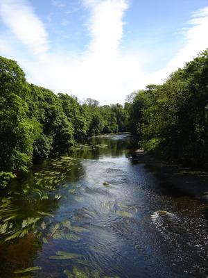 River Tees