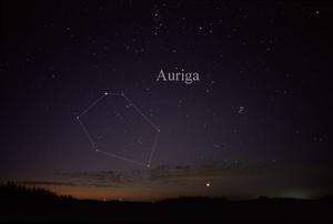 Auriga