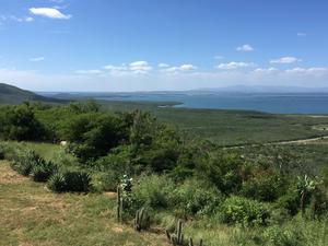 Guantánamo Bay