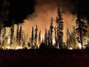 wildfire
