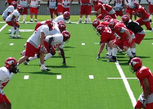 Calgary Stampeders