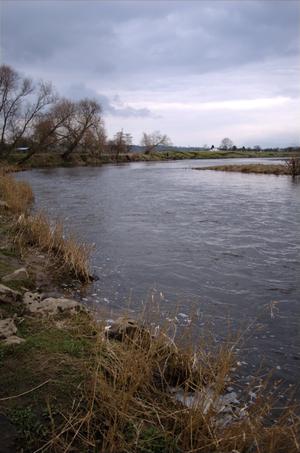 River Ribble