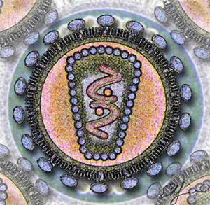 HIV/AIDS