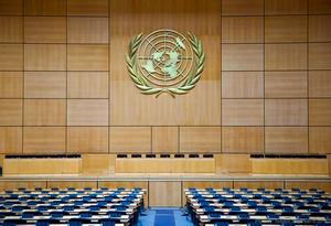 United Nations General Assembly