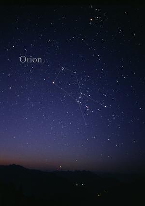Orion