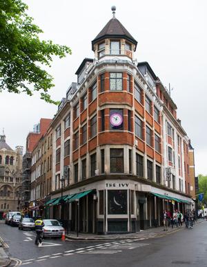 The Ivy