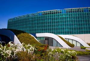 World Meteorological Organization