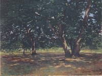 Fontainebleau Forest