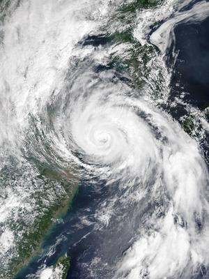 Typhoon Bavi