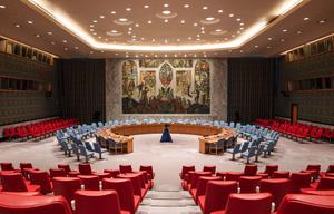 United Nations Security Council