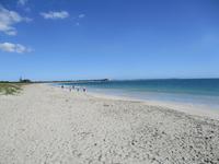 Coogee Beach