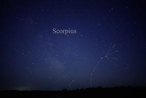 Scorpius